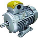 Ac-crane-duty-motors