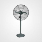 shakti-20-1-300x300-1